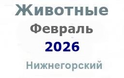 Животные и корма в феврале