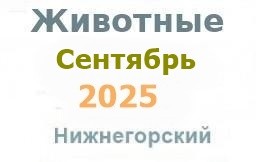 Животные и корма в октябре