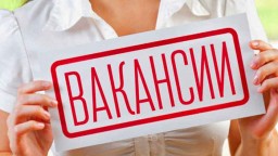 Вакансии за январь