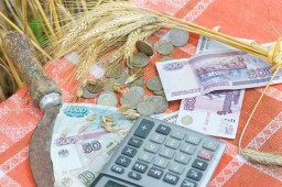Оказании государственной помощи сельхозтоваропроизводителям