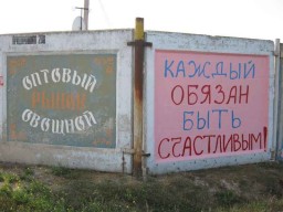 Жильё посуточно