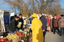 Сельскохозяйственная ярмарка в Нижнегорске