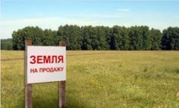 Продам участок ИЖС в Разливах