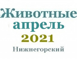 Животные в апреле