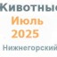 Животные и корма в июле