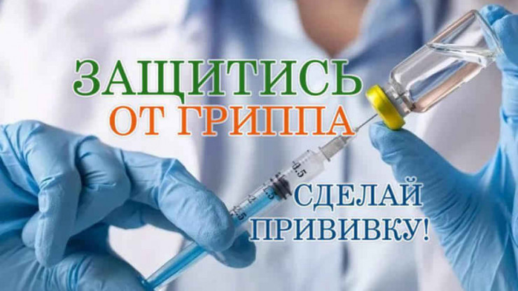 Сделай прививку- защитись от гриппа. Сделай прививку- защитись от гриппа.