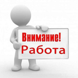 Требуется бармен!!!