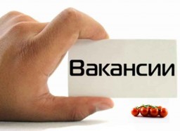 Вакансии июнь