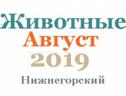 Животные и корма в августе