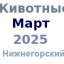 Животные и корма в марте