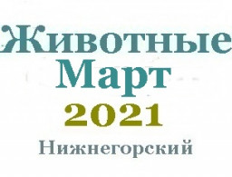 Животные в марте