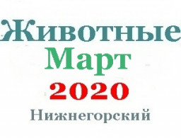 Животные в марте