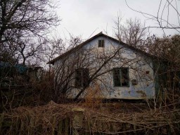 Продам дом в селе Чкалово