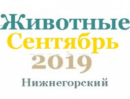 Животные и корма в сентябре