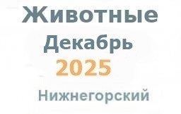 Животные и корма в декабре