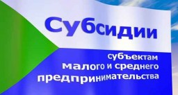 Cубсидирование  малого и среднего бизнеса