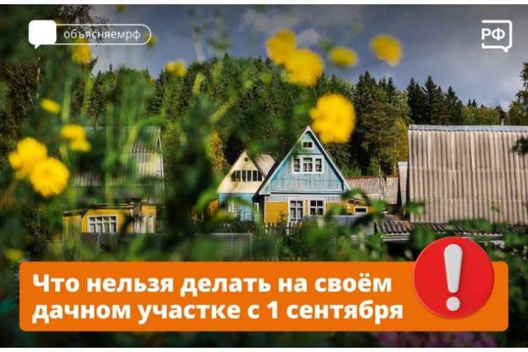 ЧТО НЕЛЬЗЯ ДЕЛАТЬ НА СВОЕМ ДАЧНОМ УЧАСТКЕ С 1 СЕНТЯБРЯ!