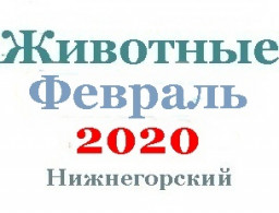 Животные и корма в феврале