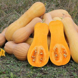 Продам