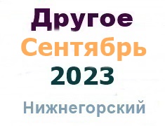 Другое из газеты