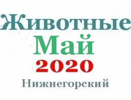 Животные и корма в мае