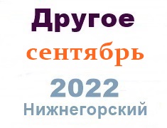 Другие объявления из газеты
