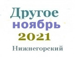 Другие объявления  за ноябрь
