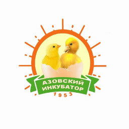 Суточный молодняк цыплят, индюшат, гусят и утят