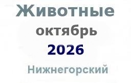 Животные и корма в октябре