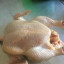 Продам мясо бройлера 0